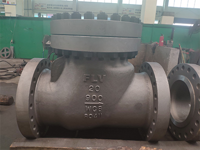 Check Valve